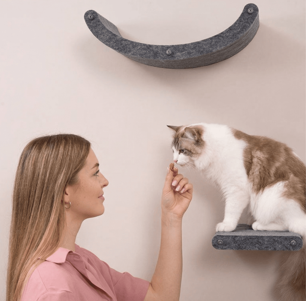The Best Cat Treats in Australia: Why Freeze-Dried Is in a League of Its Own - Pryde Pets