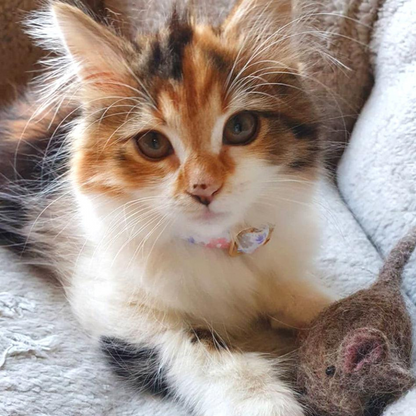 Handmade Felt Mouse Toy - Brown