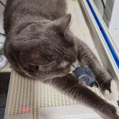 Handmade Felt Mouse Toy - Grey