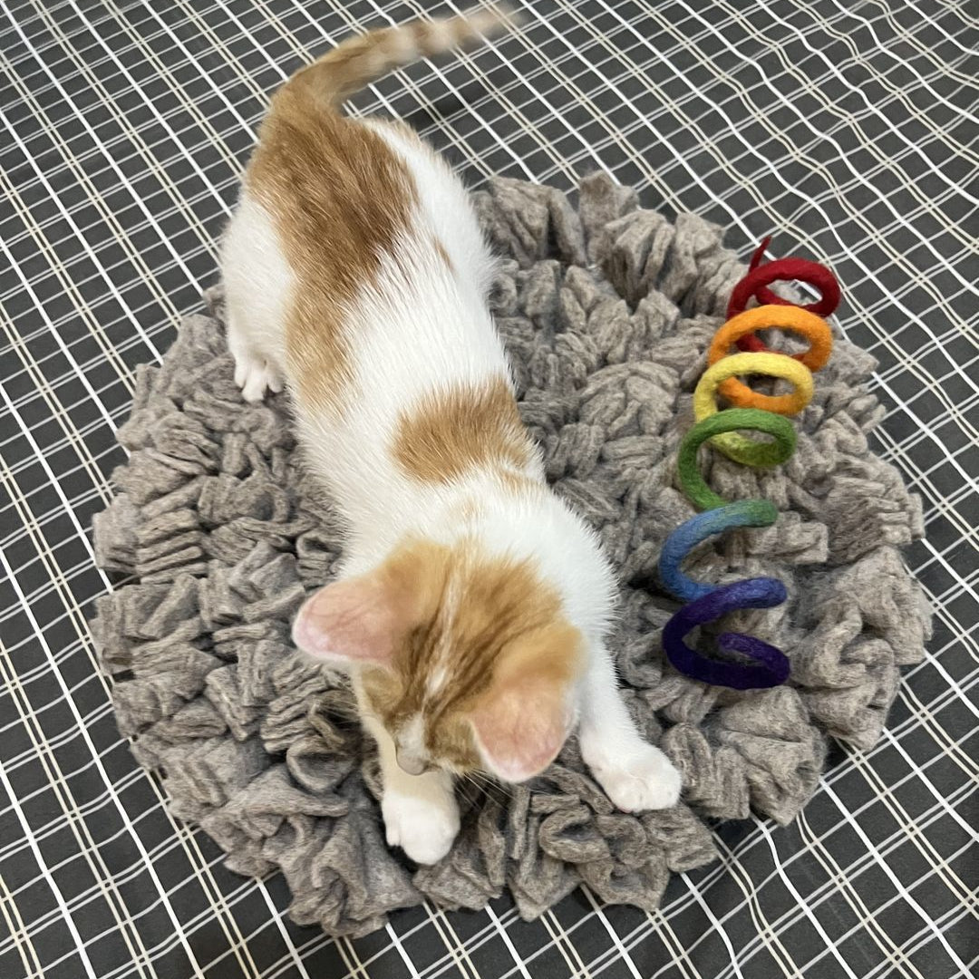 Handmade Felt Snuffle Mat for Cats