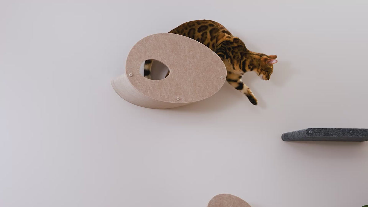 Oatmeal Long Lounger Cat Climber Facade Add-On