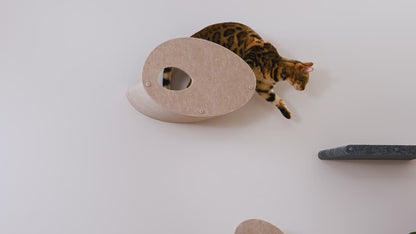 Oatmeal Long Lounger Cat Climber Facade Add-On