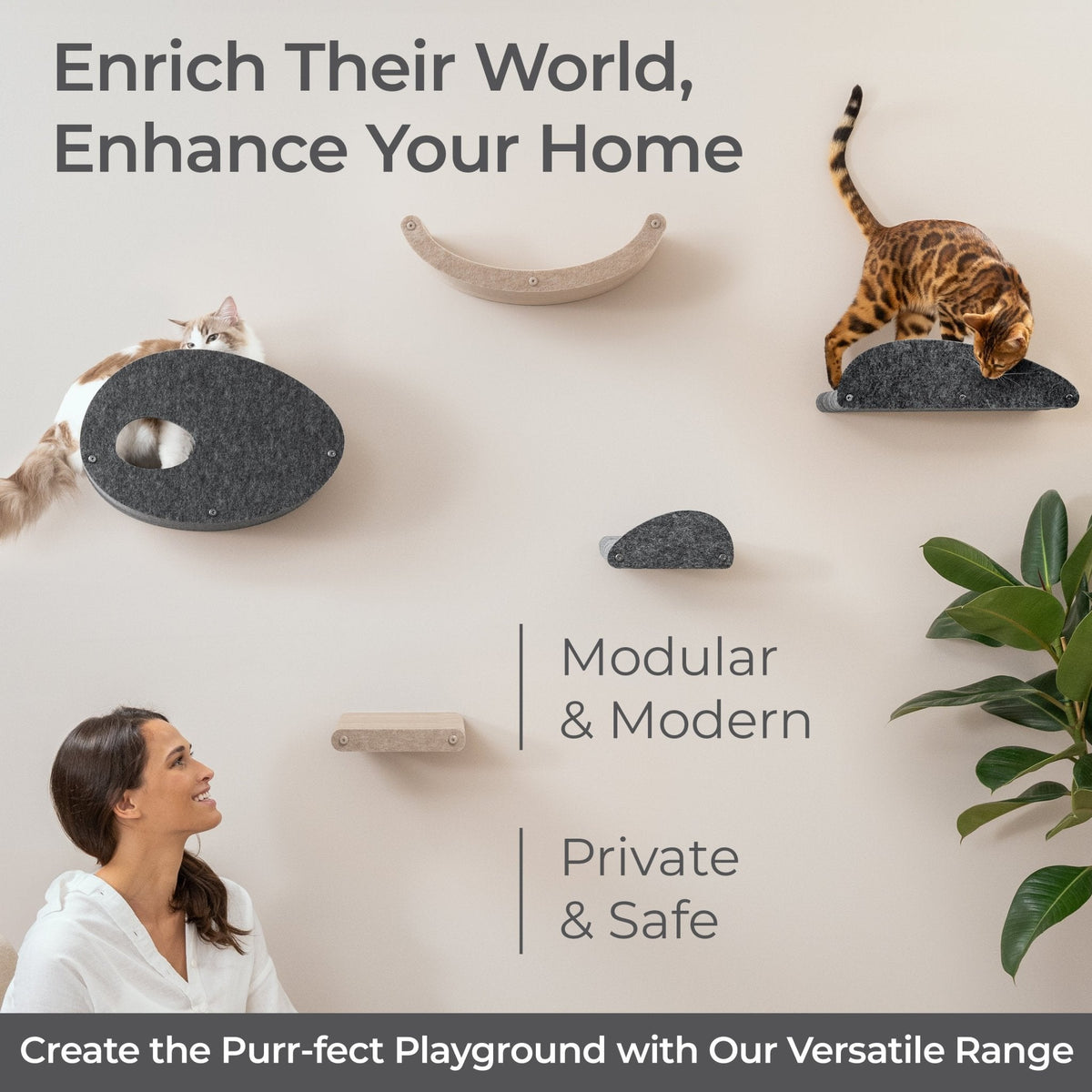Oatmeal Curved Nest Cat Climber Facade Add - On - Pryde Pets
