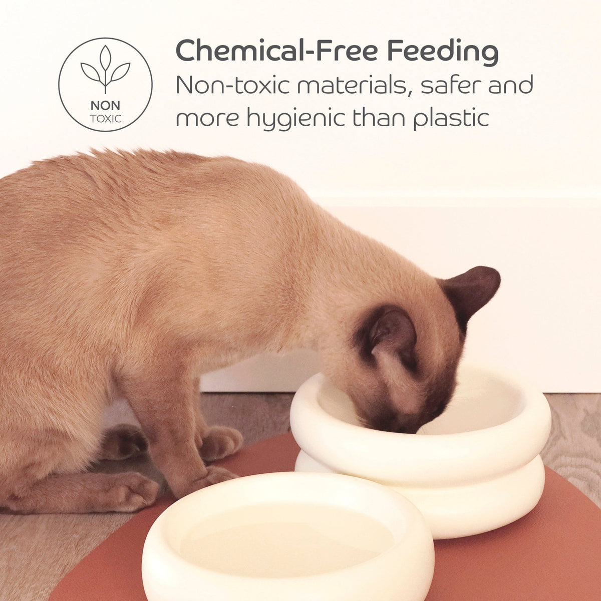 Ceramic Dining Bowl - Pryde Pets
